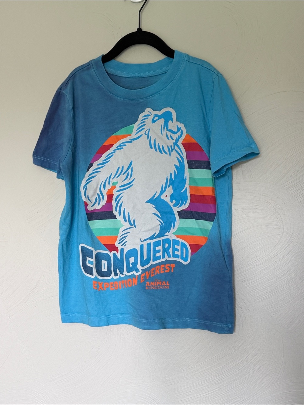 Disney Blue Yeti Expedition Everest Tee